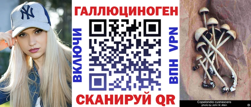 Галлюциногенные грибы Cubensis  Купить закладки  Отрадное 